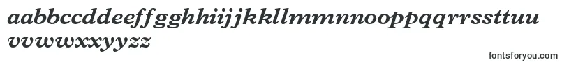 TerminusblacksskItalic Font – English Fonts