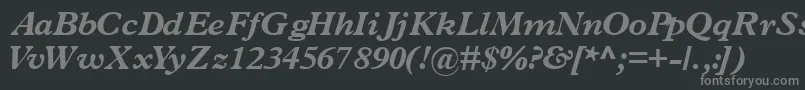 フォントTerminusblacksskItalic – 黒い背景に灰色の文字