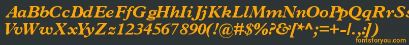 フォントTerminusblacksskItalic – 黒い背景にオレンジの文字