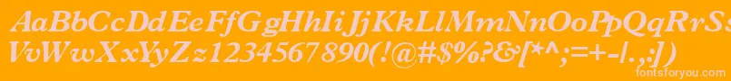 TerminusblacksskItalic Font – Pink Fonts on Orange Background