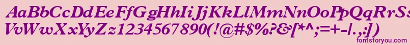 More about TerminusblacksskItalic Font TerminusblacksskItalic Font – Purple Fonts on Pink Background