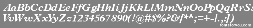 フォントTerminusblacksskItalic – 灰色の背景に白い文字