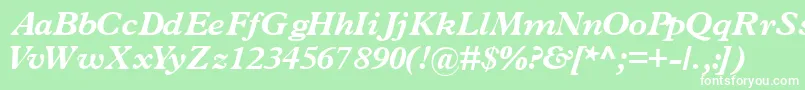 TerminusblacksskItalic Font – White Fonts on Green Background