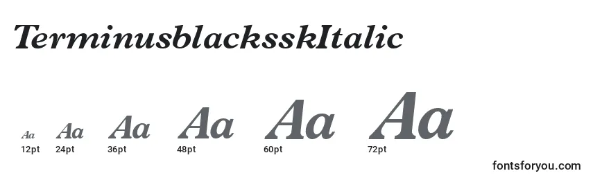 Размеры шрифта TerminusblacksskItalic