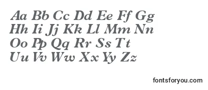 Review of the TerminusblacksskItalic Font