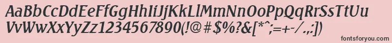 SeagullSerialRegularitalicDb Font – Black Fonts on Pink Background