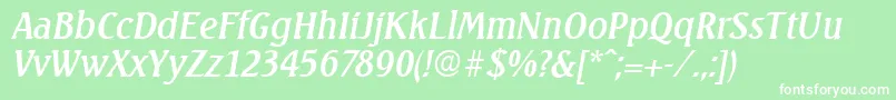 SeagullSerialRegularitalicDb Font – White Fonts on Green Background