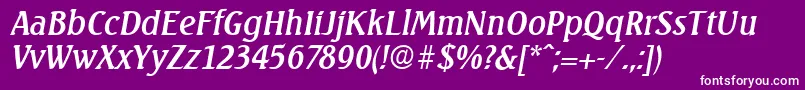 SeagullSerialRegularitalicDb Font – White Fonts on Purple Background