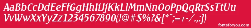 SeagullSerialRegularitalicDb Font – White Fonts on Red Background