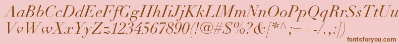 DidotltstdItalic Font – Brown Fonts on Pink Background