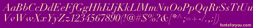 DidotltstdItalic Font – Yellow Fonts on Purple Background