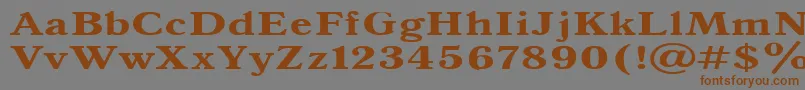 Antiqua140b Font – Brown Fonts on Gray Background