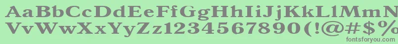 フォントAntiqua140b – 緑の背景に灰色の文字