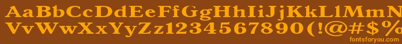 Antiqua140b Font – Orange Fonts on Brown Background