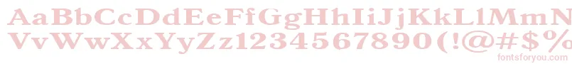 Antiqua140b Font – Pink Fonts on White Background