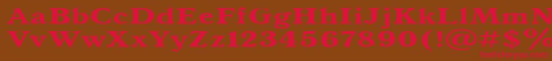 Antiqua140b Font – Red Fonts on Brown Background