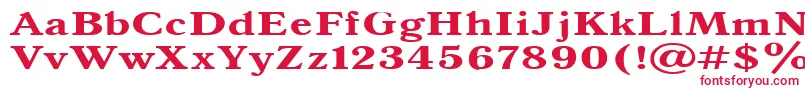 Antiqua140b Font – Red Fonts