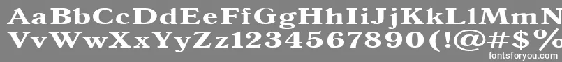 フォントAntiqua140b – 灰色の背景に白い文字