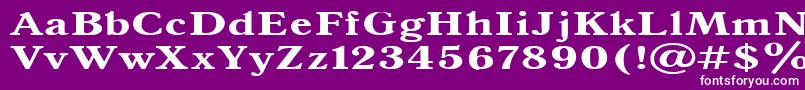 フォントAntiqua140b – 紫の背景に白い文字