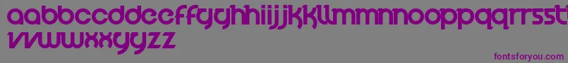 VelocityFont-fontti – violetit fontit harmaalla taustalla