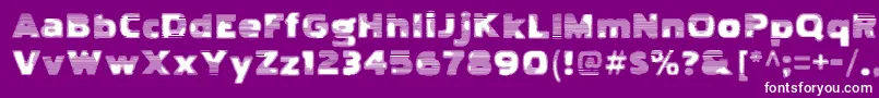 PakenhamtvRegular Font – White Fonts on Purple Background