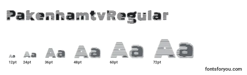 Размеры шрифта PakenhamtvRegular