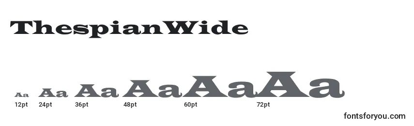 ThespianWide Font Sizes