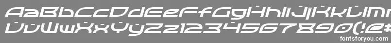 Police OpticItalic – polices blanches sur fond gris