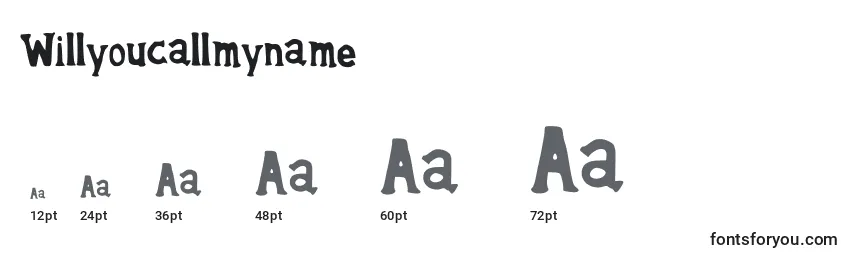 Willyoucallmyname Font Sizes