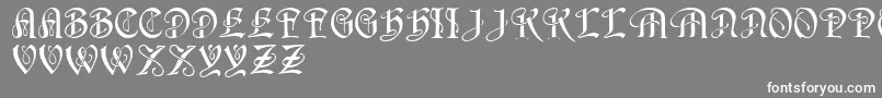 HorstRegular Font – White Fonts on Gray Background