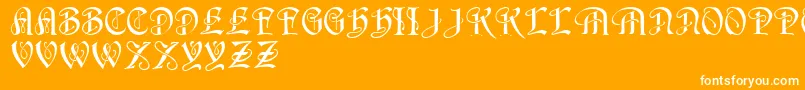 フォントHorstRegular – オレンジの背景に白い文字