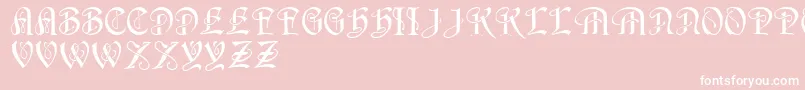 HorstRegular Font – White Fonts on Pink Background