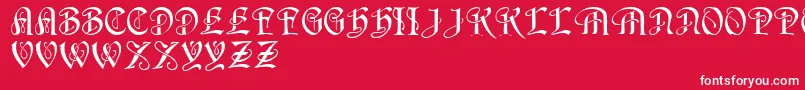 フォントHorstRegular – 赤い背景に白い文字