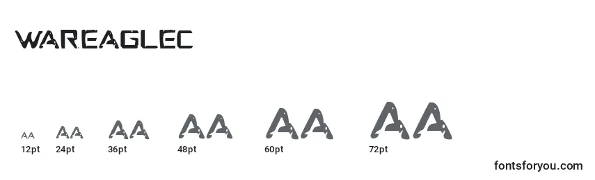 Wareaglec Font Sizes