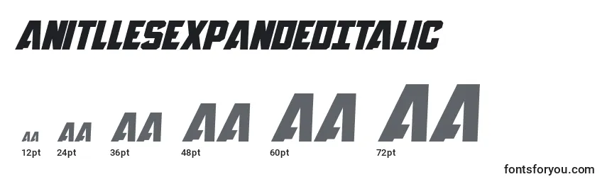 Размеры шрифта AnitllesExpandedItalic