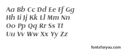 DragonBoldItalic Font