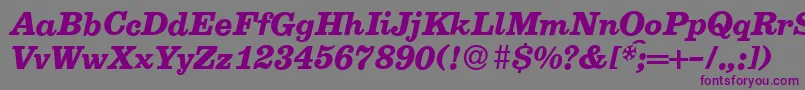 E710RomanBolditalic Font – Purple Fonts on Gray Background