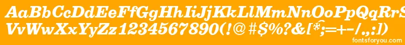 E710RomanBolditalic Font – White Fonts on Orange Background