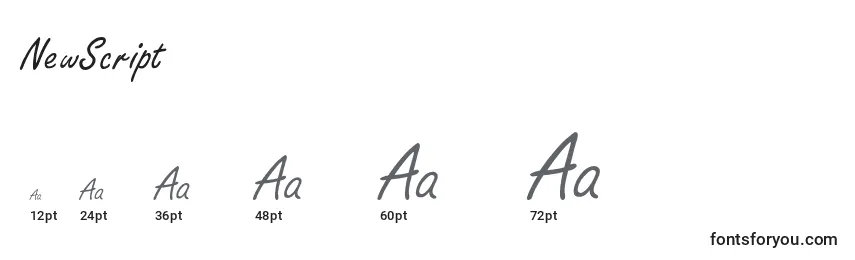 NewScript Font Sizes