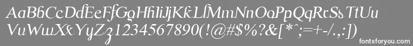 フォントScrypticaliItalic – 灰色の背景に白い文字