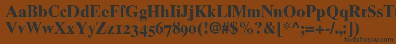 More about Times10BoldOldstyleFigures Font Times10BoldOldstyleFigures Font – Black Fonts on Brown Background