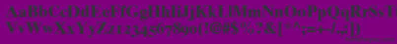 Times10BoldOldstyleFigures Font – Black Fonts on Purple Background