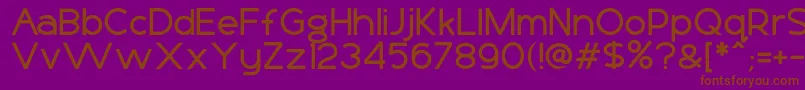 En savoir plus sur la police Basico1 Police Basico1 – polices brunes sur fond violet