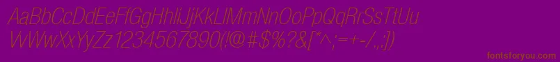 BasicSansLightSfItalic Font – Brown Fonts on Purple Background