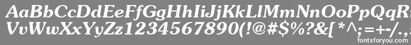 AgpresquireBoldOblique-fontti – valkoiset fontit harmaalla taustalla