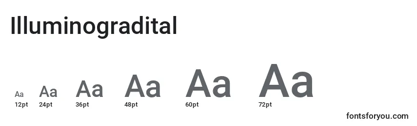 Размеры шрифта Illuminogradital