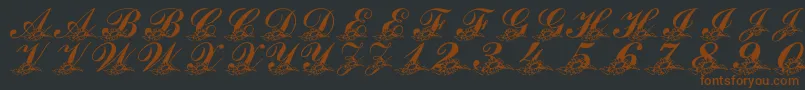 LmsSunflowersForJodie-fontti – ruskeat fontit mustalla taustalla