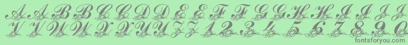 LmsSunflowersForJodie Font – Gray Fonts on Green Background