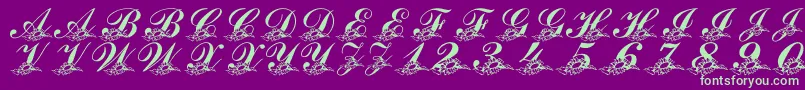 LmsSunflowersForJodie Font – Green Fonts on Purple Background