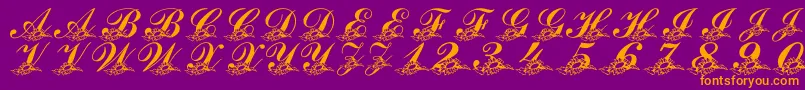 LmsSunflowersForJodie Font – Orange Fonts on Purple Background